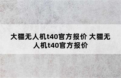 大疆无人机t40官方报价 大疆无人机t40官方报价